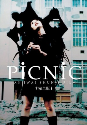 PiCNiC Picnic