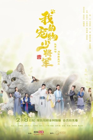 Thiếu Tướng Quân Thú Cưng Của Tôi Be My Cat