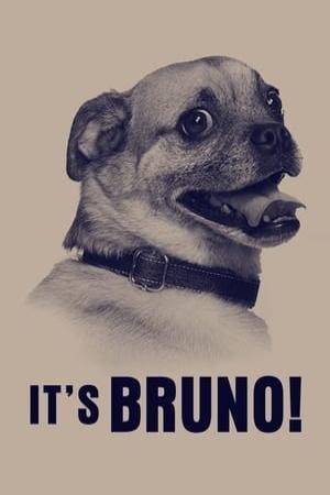 It’s Bruno!